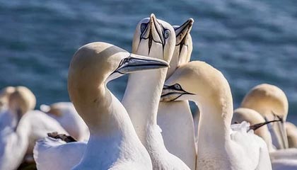 九游官网-【欧冠】内马尔2球 拉什福德破门 10人曼联1比3巴黎