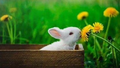 九游官网-济科：迭戈是我一生挚友 一年前他在我家里哭了